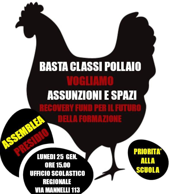 Basta classi pollaio Presidio 25/1